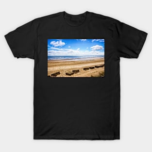 Blue Horizons T-Shirt